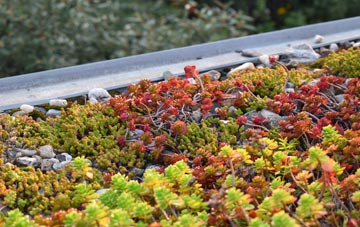 the cost of Ashwellthorpe green roof installation