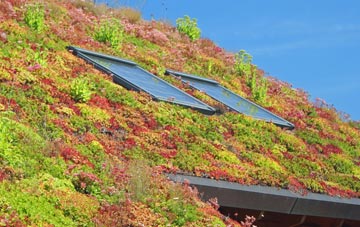 Ashwellthorpe living roof systems