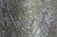 Ashwellthorpe fibreglass roof work